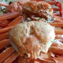 구룡령황토펜션 이미지