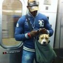 애견사랑 이미지