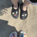 왕산골숲속 이미지