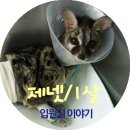 부산동물병원 제넷 이미지