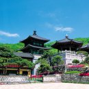 낭비성娘臂城 이미지