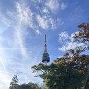 청계TG졸음쉼터 | 2025 설연휴 고속도로 통행료 면제 기준 및 시간 정리!