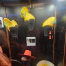 라스베가스 | 라스베가스 카쇼 후기 좌석추천,예매방법,오쇼비교 완벽정리