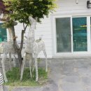 거창수승대무지개 이미지