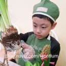 불당라온어린이집 이미지