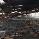 세종농장 이미지