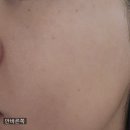 다이소선크림 [에디빗 베어버니 톤 필터 선크림] 후기