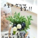 🌹 부부인생가 🌹- '자명고 사랑' 中 이미지