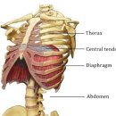 PT특별관 이미지