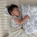 11500-7-39-110 | 육아_9개월) 생후 39주차 기록(2025.12.4.~12.10)일상