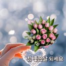 다잘 Daum카페