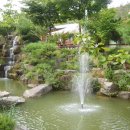 영월화석박물관 이미지