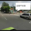 관청초 이미지