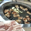 죽이네목장