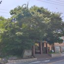 음리보건진료소 이미지