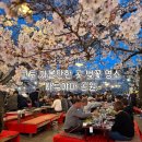 6723 | [교토 여행] 벚꽃 명소 마루야마 공원 야사카 신사 | 야시장 축제 후기