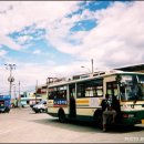 용호농장 이미지