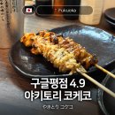 코케 | 후쿠오카 와타나베도리 야쿠인 근처 야식 이자카야 맛집 야키토리 코케코