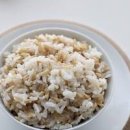 귀리 효능 부작용 건강한 한 끼! 귀리밥 칼로리 한 그릇은? 이미지