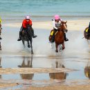 성읍정의현로 이미지