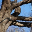 구림산책길 이미지