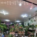 아마존 꽃 식물원 네이버블로그