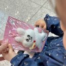 만2세 아이와 엄마랑 둘이 타이비엣젯 vz851 vz850 방콕 공항철도 캐리어 유모차 동시에 끌기