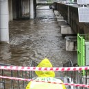 도림천 산책로4 이미지