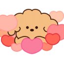 이솝동물병원 이미지