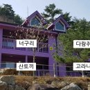 검봉산 자연휴양림 티스토리