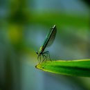 세종에코 이미지