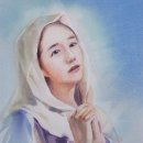 아들 수난 보는 성모 맘 저미는 아픔 속에 하염없이 우시네(‘고통의 성모 마리아 기념일’부속가).(2026년 9월 15일 화요일) 이미지