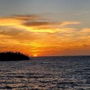 꿈꾸는동산 이미지