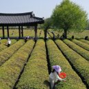 공공수산
