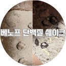 느낌 | 여성 단백질 쉐이크 베노프 카페음료 느낌 후기