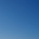 귀여워, 댕댕이 이미지