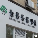 늘품동물병원 이미지