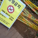 ※5박 6일 집시카 전북 순창 채계산 출렁다리 여행후기