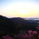 일출로4 이미지