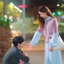 보고또보고