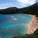 파라다이스 이미지