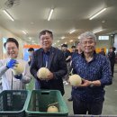 춘천원예농협 산지유통센터 이미지