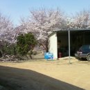 섭이네 농장 이미지