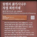 함평 기각리붉가시나무자생북한지 이미지