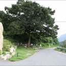 푸른길목장 이미지