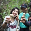 울진문화원 이미지