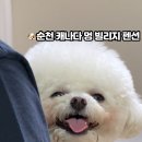 캐나다 멍 빌리지 이미지