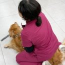 정주산업동물병원 | 동물병원코디네이터 자격증 취업하고 싶은 사람 들어오세요
