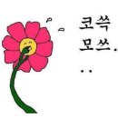 누리한방병원 | 갈만한 곳 [아쿠아플라넷 제주] & [은희네해장국], [서귀포 올레시장], [히든클리프 호텔 마사지] 후기