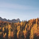 행정사 정귀영사무소 이미지